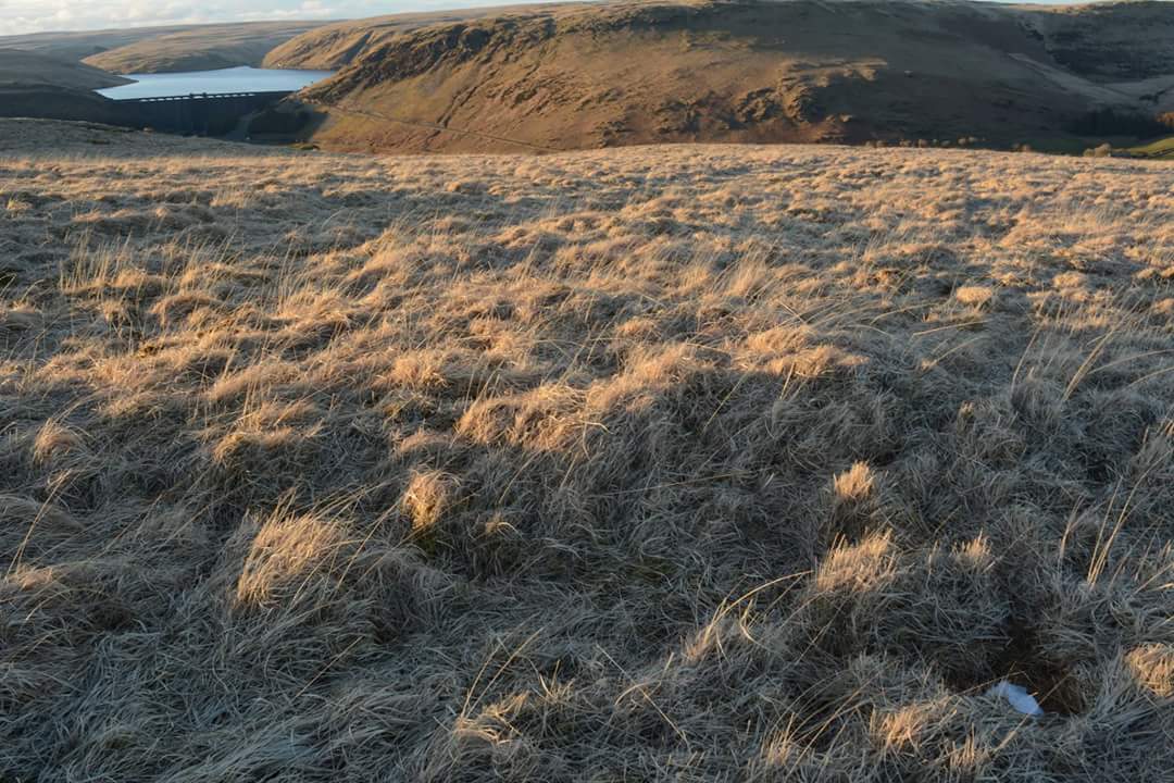 Possible Cairn 1 on cerrig llwyndion
