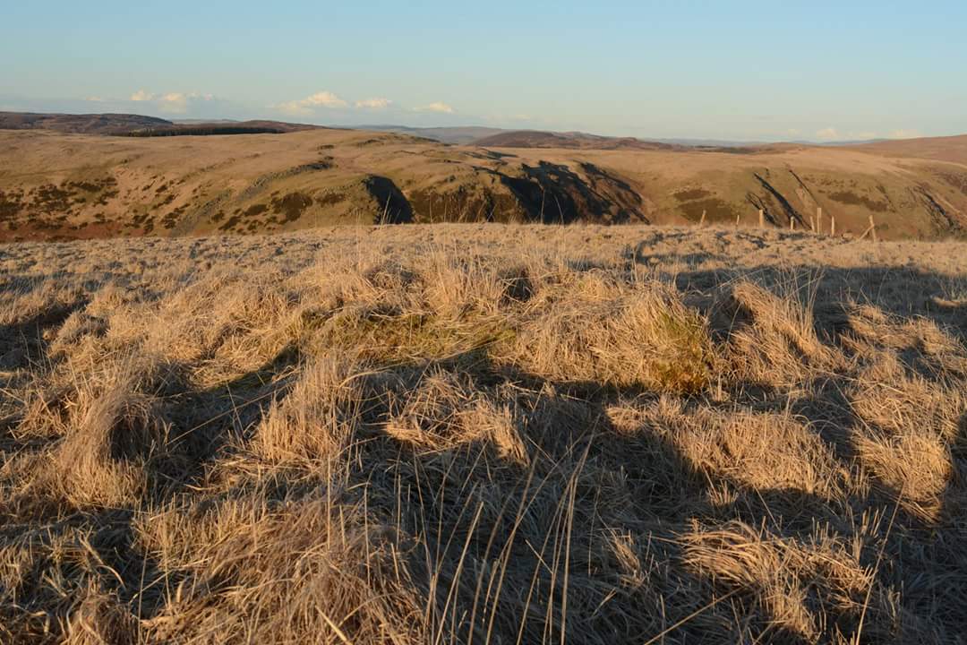 Possible Cairn 2 on cerrig llwyndion