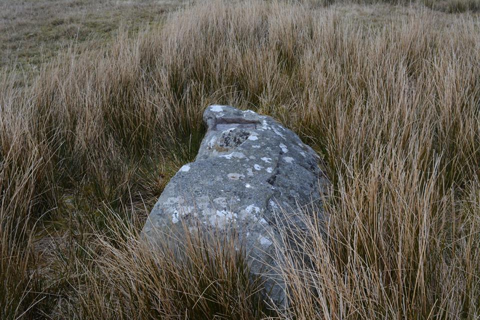 Clawdd Du Stone V
