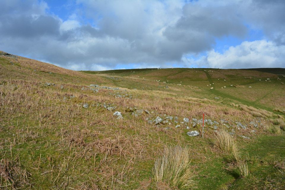 Esgair Gwar-y-Cae enclosure II