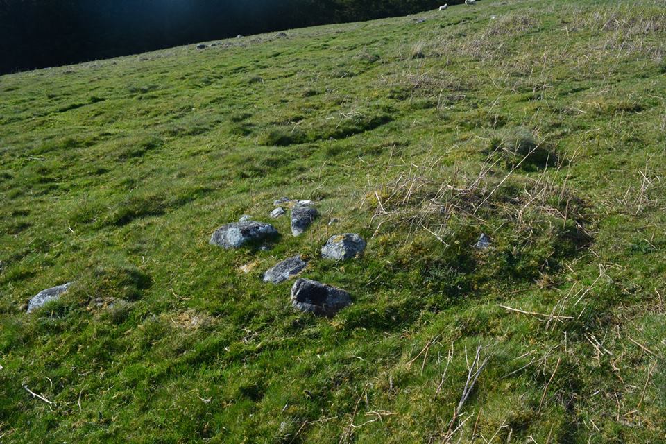 Gro Hill Clearance Cairn 1