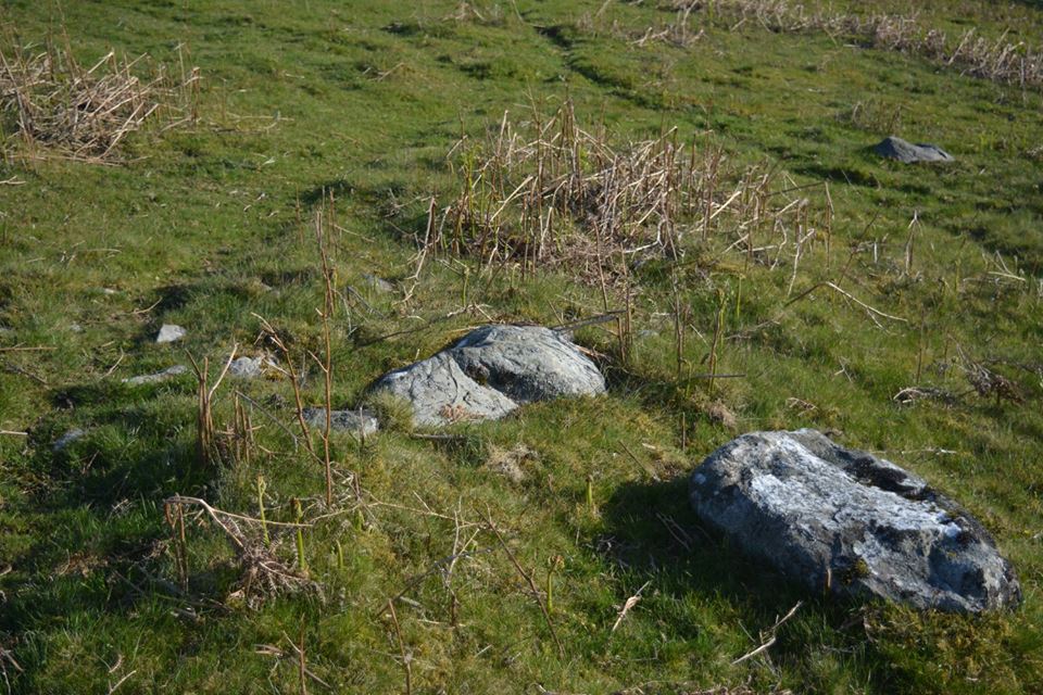 Gro Hill Clearance Cairn 15