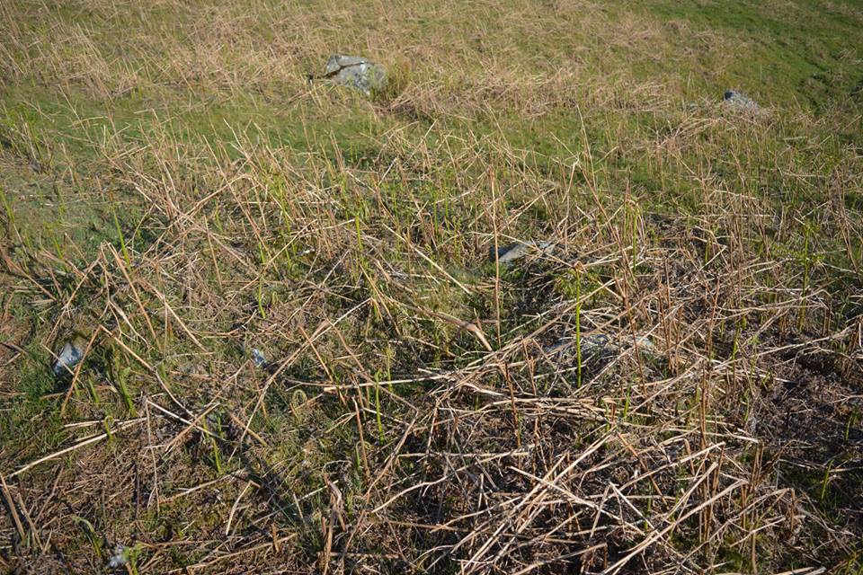 Gro Hill Clearance Cairn 18