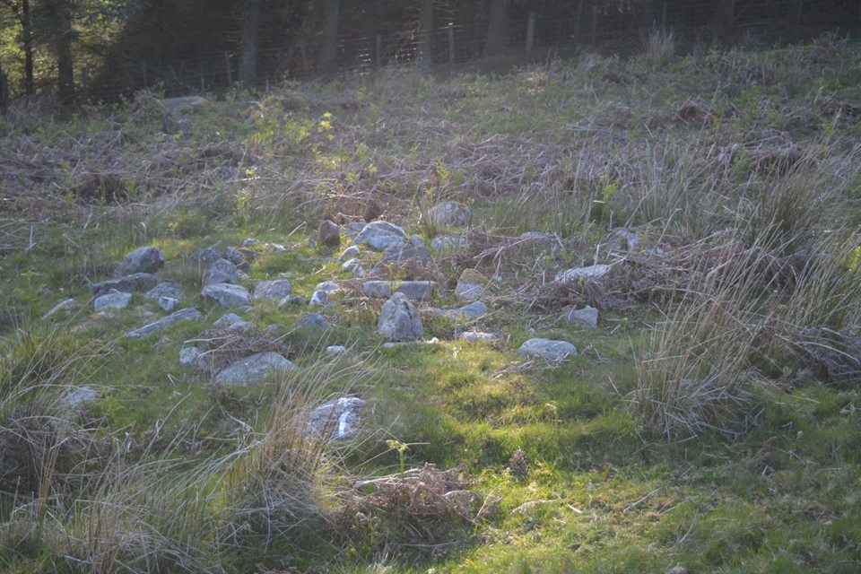 Gro Hill Clearance Cairn 22