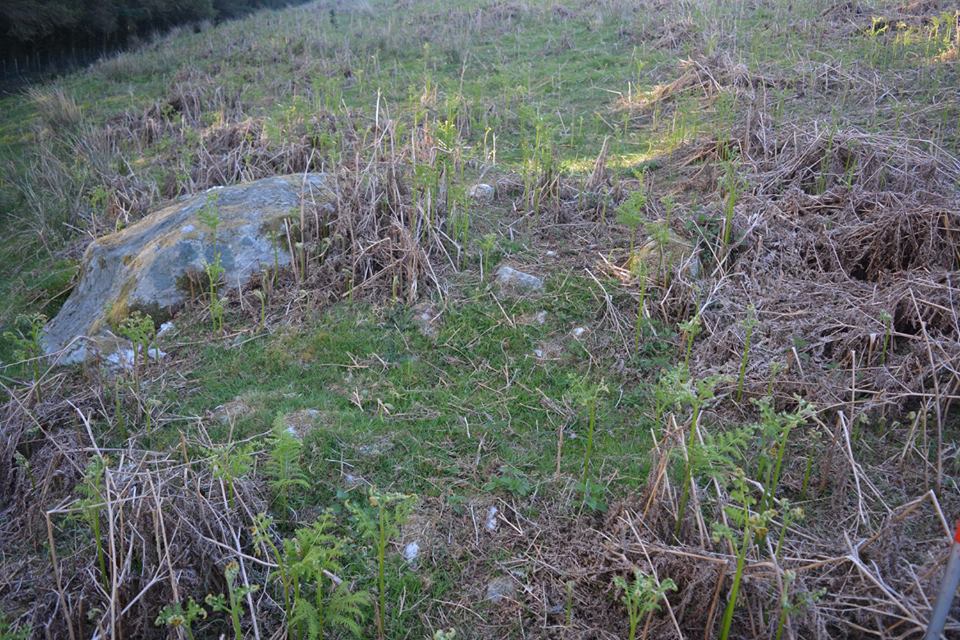 Gro Hill Clearance Cairn 23