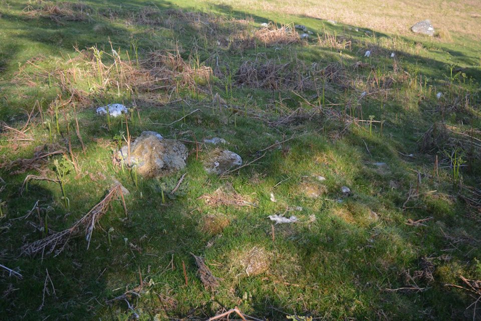 Gro Hill Clearance Cairn 24