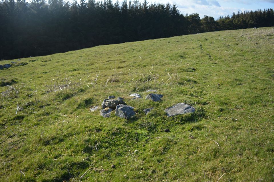 Gro Hill Clearance Cairn 4