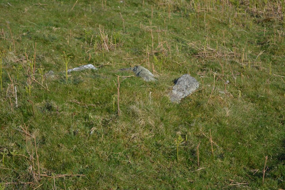 Gro Hill Clearance Cairn 7