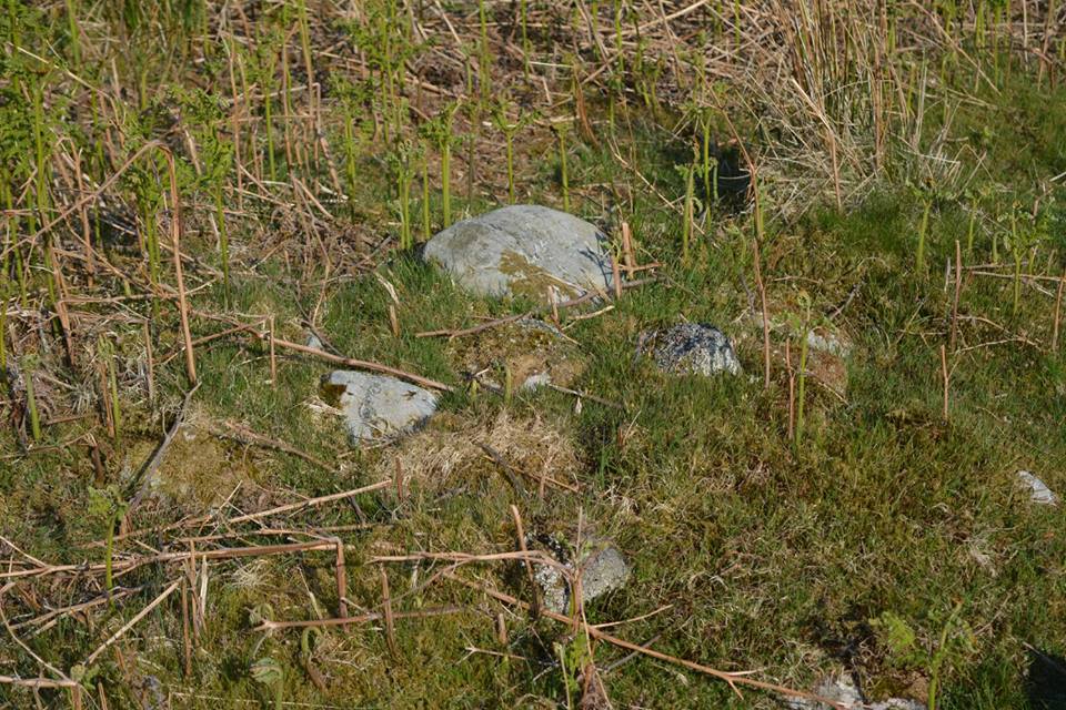 Gro Hill Clearance Cairn 8