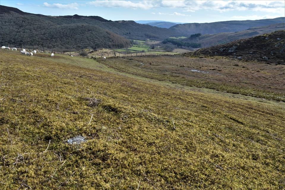 Possible Cairn on Craig Cnwch