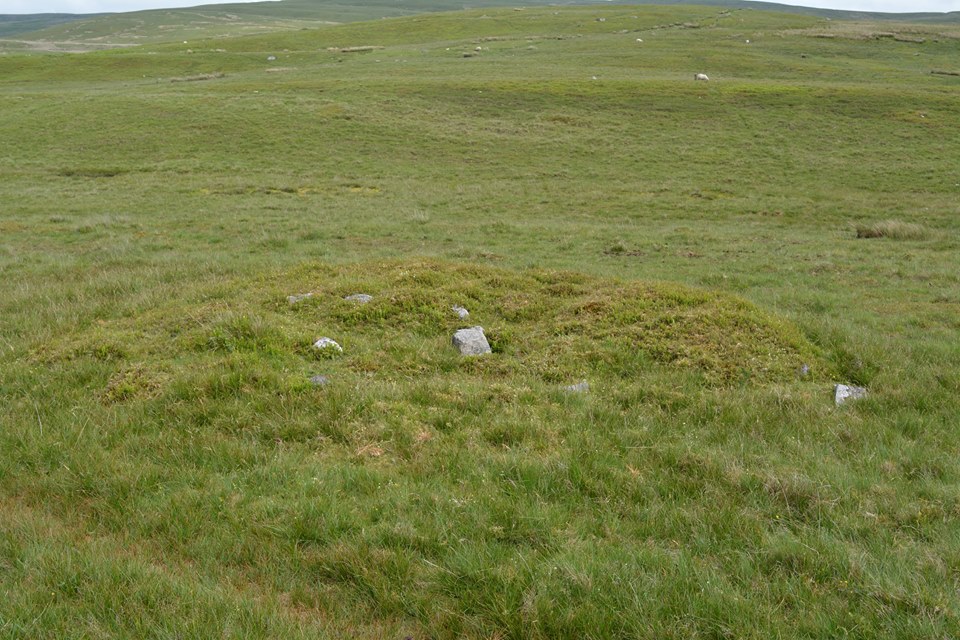 Ty'n y Pant Cairn I