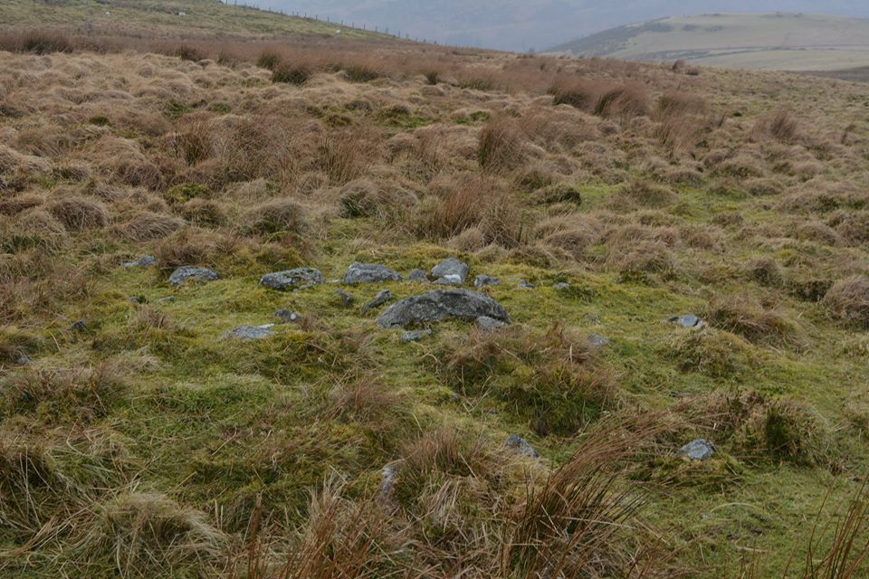 Waun llwyd Cairn