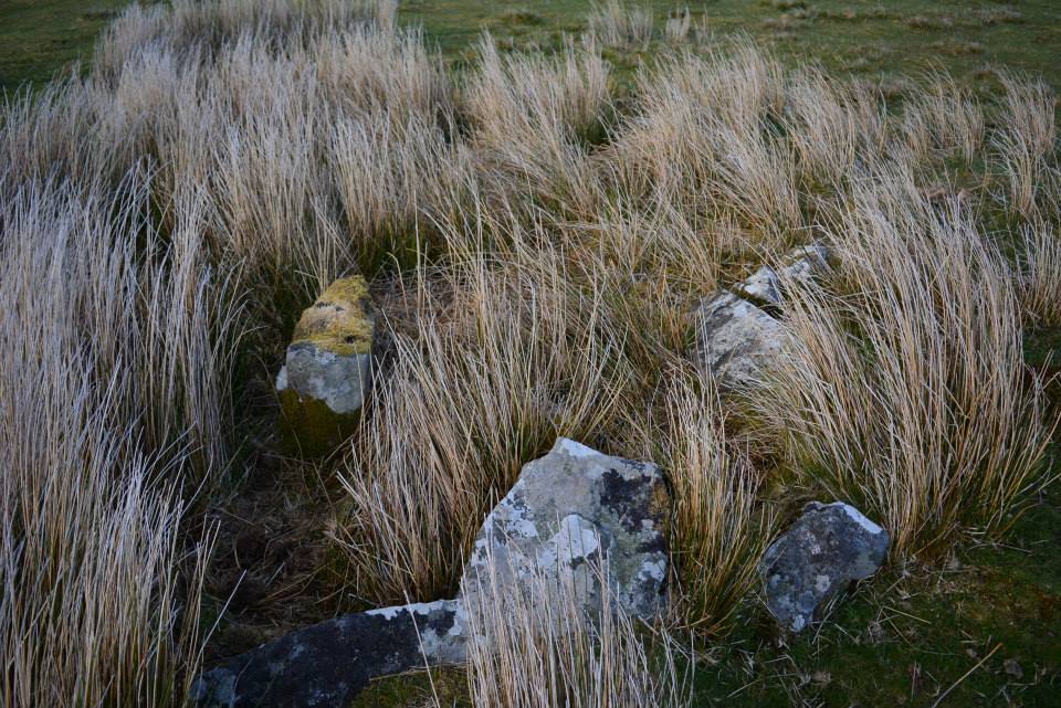 Possible Cairn on Garn Lwyd