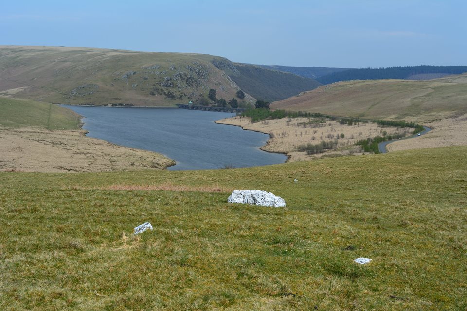 Esgair Crawnllyn Stones